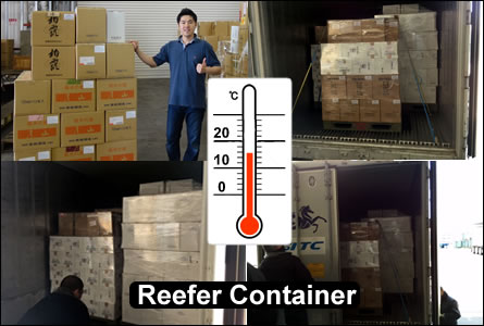 shipping sake reefer container